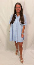 Day + Moon Blue & White striped dress